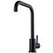 Змішувач для кухні Globus Lux ALPEN SBT1-203L-BB 000024953 фото 5