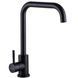 Змішувач для кухні Globus Lux ALPEN SBT1-203L-BB 000024953 фото 2