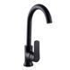 Змішувач для кухні Globus Lux Laguna GLA-0203SL-10-BB 000021859 фото 3