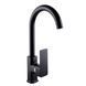 Змішувач для кухні DOMINO MALIBU DMM-203L-Black 000021863 фото 2