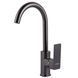 Смеситель для кухни DOMINO MALIBU DMM-203L-GP 000028453 фото 2