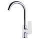 Смеситель для кухни DOMINO MALIBU DMM-203L 000013703 фото 1